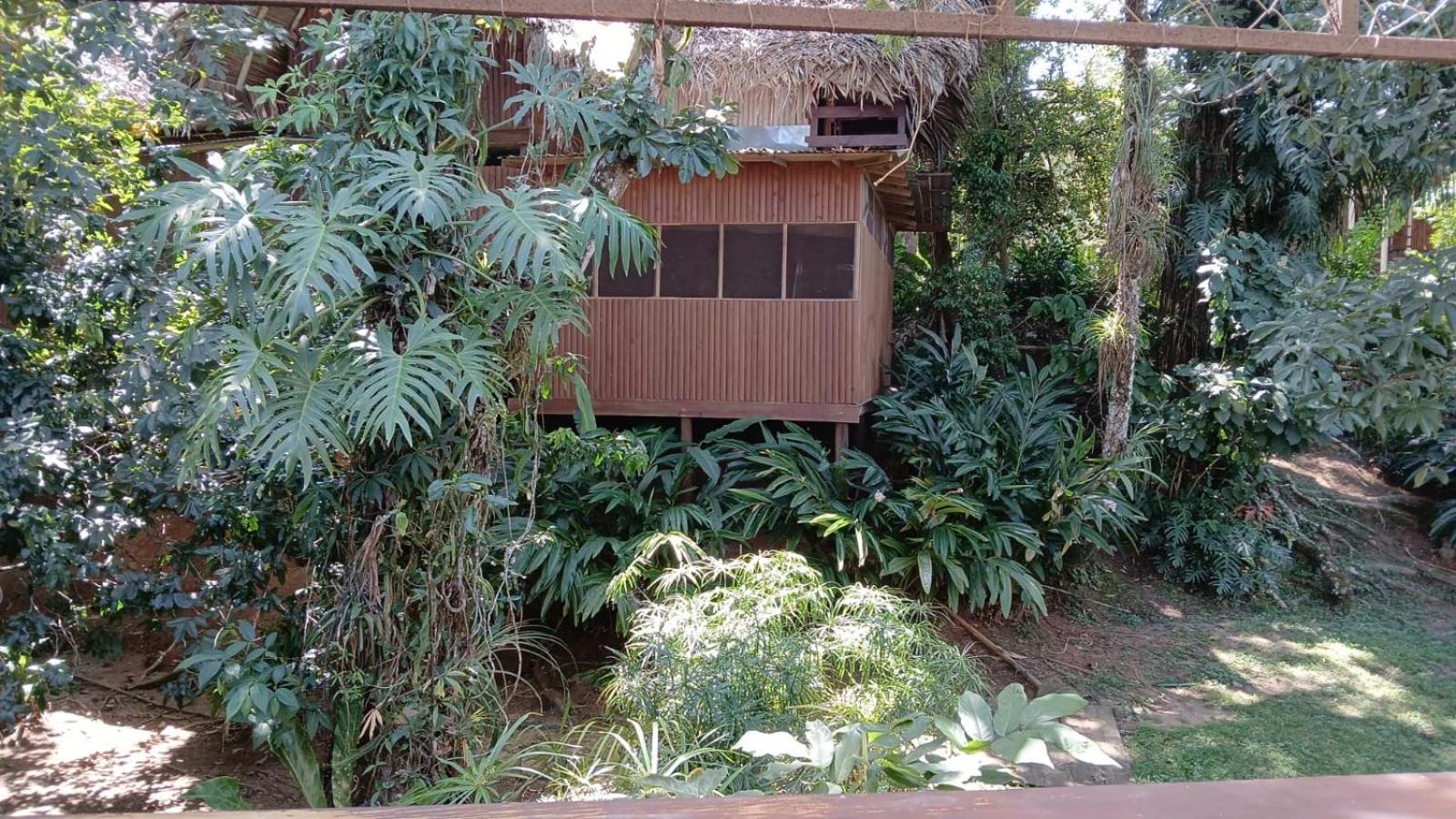 Tortugal Boutique River Lodge Rio Dulce Bagian luar foto